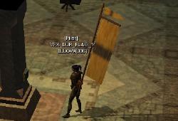 Dur.flaggoldfixed.jpg