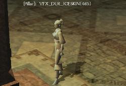 Dur.iceskin.jpg