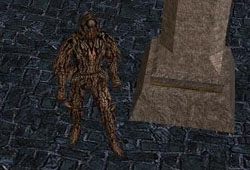 Dur.protbarkskin.jpg