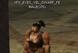 Eyes dwarf female yellow.jpg