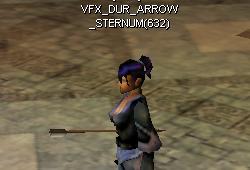 Dur arrowinsternum.jpg
