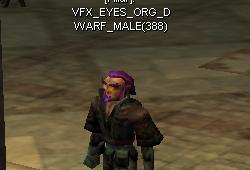 Eyes dwarf male orange.jpg