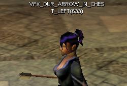 Dur arrowinchestl.jpg