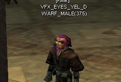 Eyes dwarf male yellow.jpg