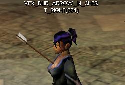 Dur arrowinchestr.jpg