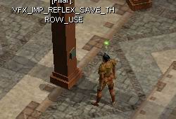Imp.reflexsaveuse.jpg