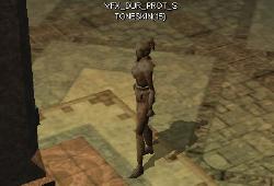 Dur.protstoneskin.jpg
