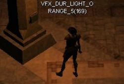 Dur.lightorange5.jpg