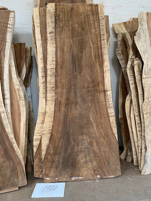 Parota (Guanacaste) Slab #1977 Live Edge