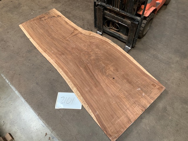 Parota (Guanacaste) Slab #2101 Live Edge