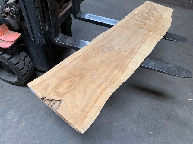 Primavera Slab #221 Live Edge