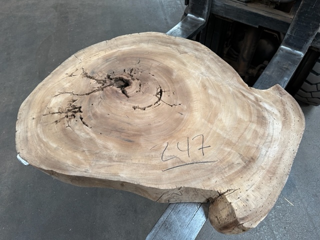 Parota (Guanacaste) Slab #247 Round