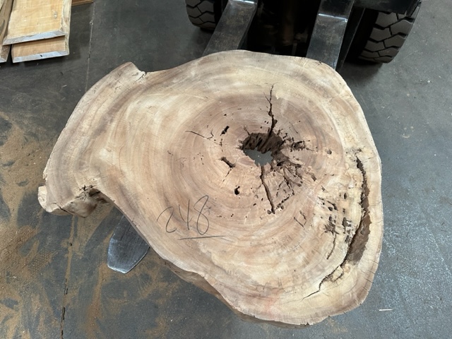 Parota (Guanacaste) Slab #248 Round