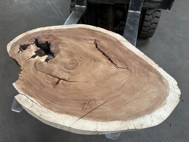 Parota (Guanacaste) Slab #251 Round