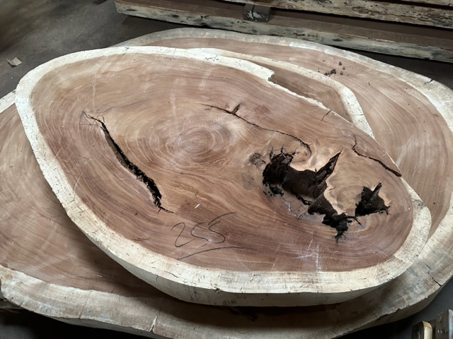 Parota (Guanacaste) Slab #255 Round