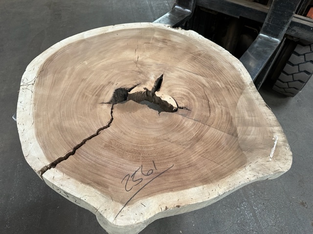 Parota (Guanacaste) Slab #2561 Round