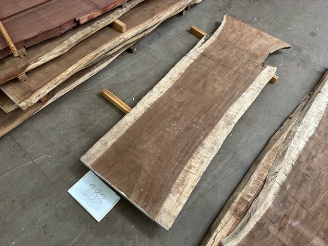 Parota (Guanacaste) Slab #283 Live Edge