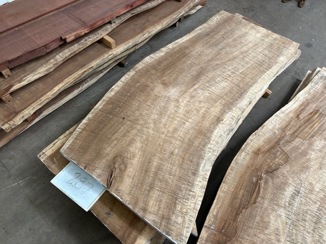 Parota (Guanacaste) Slab #287 Live Edge