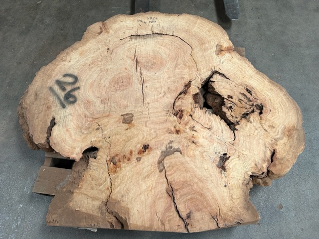 Yellowbox Burl #26