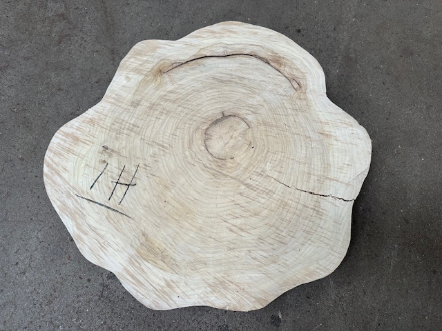 Primavera Slab #1H Round