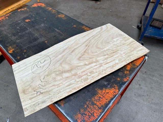 Primavera Slab #22 Live Edge