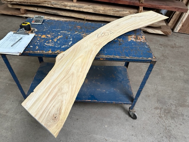 Primavera Slab #280A Live Edge