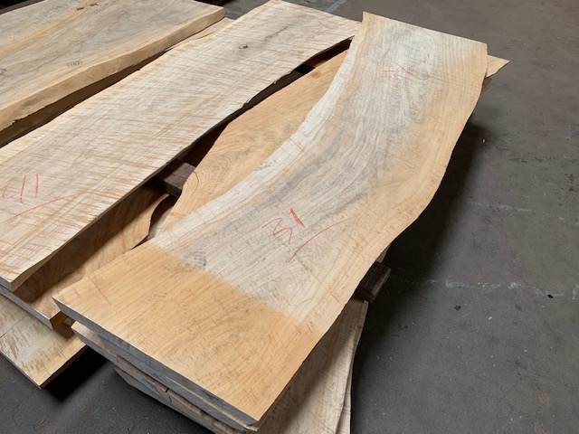 Primavera Slab #31 Live Edge