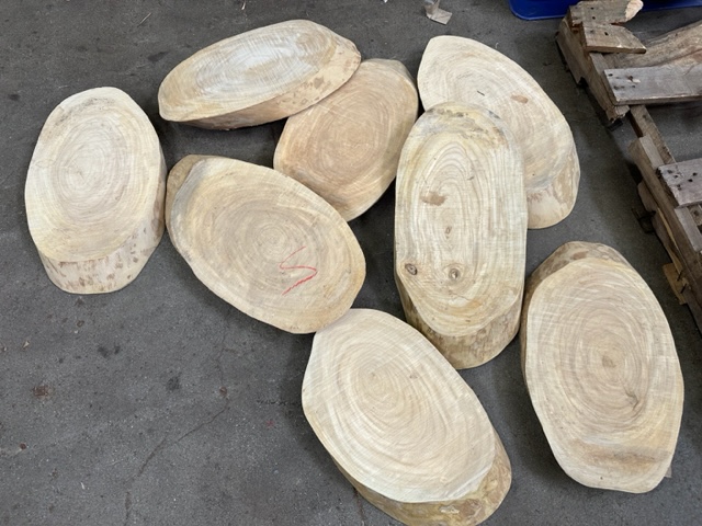 Primavera "Cookie" Slabs Batch SMALL-DISCOUNT 3 PACK